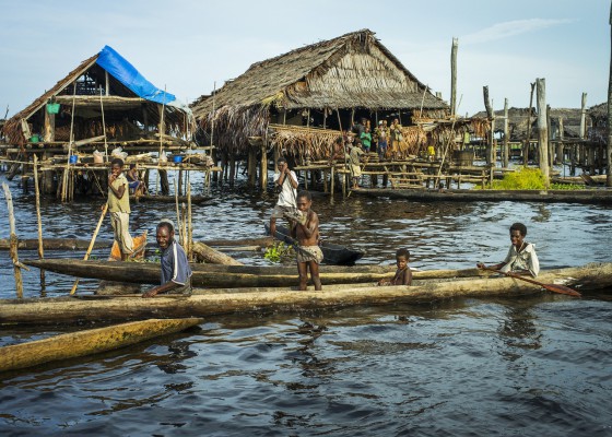 Denisovan and Neanderthal DNA in Modern-Day Melanesians