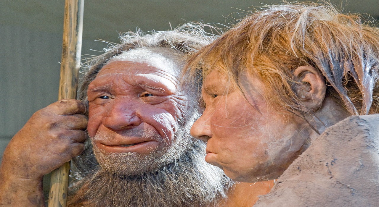 Neanderthals' Big Noses Helped them Cope with the Cold