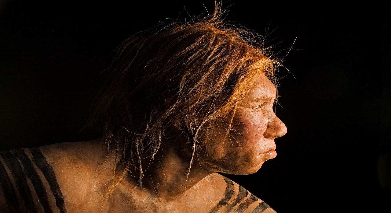 Offspring Of Neanderthal And Denisovan Identified For First Time